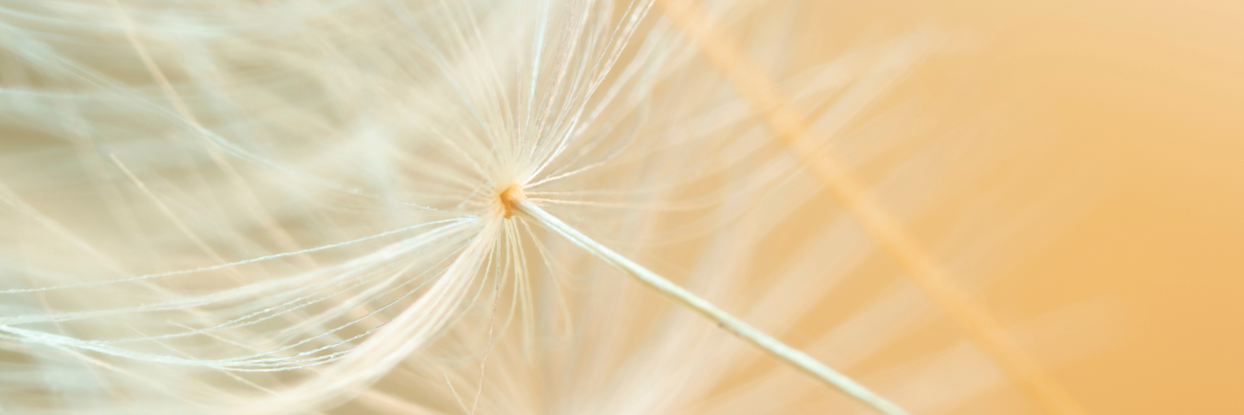 abendroth-haus-hamburg-hero